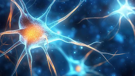 A HAT Vision: 30 Years of Epigenetics from Discovery to Therapy